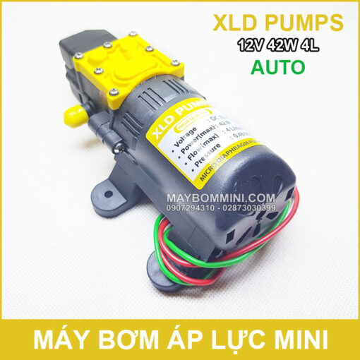 Bom Nuoc Mini 12V 42W 4L XLD Auto