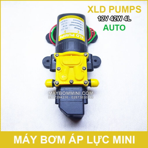 May Rua Xe Mini 12V 42W 4L XLD