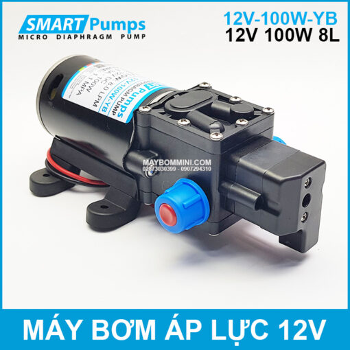 May Bom Ap Luc 12v 100w