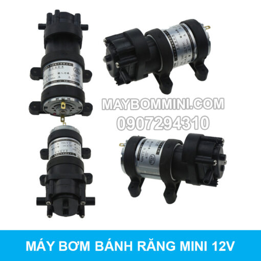 May Bom Mini Banh Rang 12v 4l