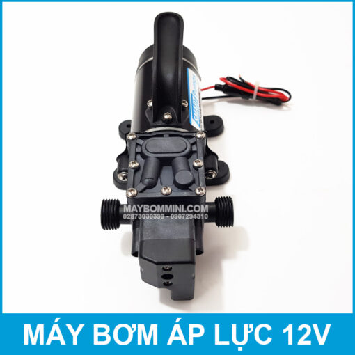 May Bom Nuoc Mini Tu Dong 12V 10L Smartpumps