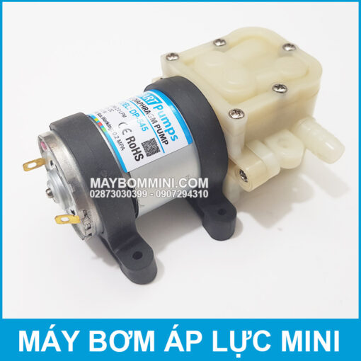 Bom Nuoc Mini DP 545 Smartpumps